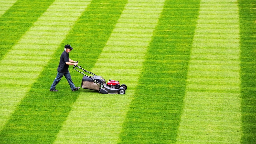 Lawn Mowing