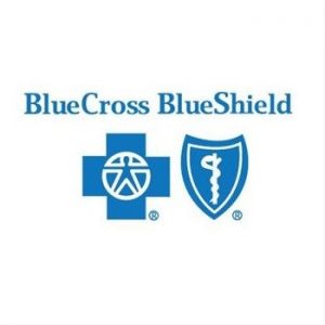 Best overall insurance company – Blue Cross Blue Shield Insurance Company