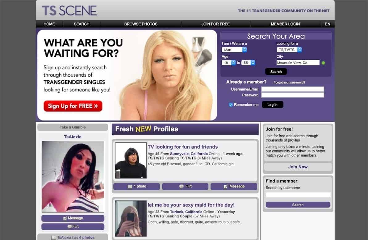 TS Scene