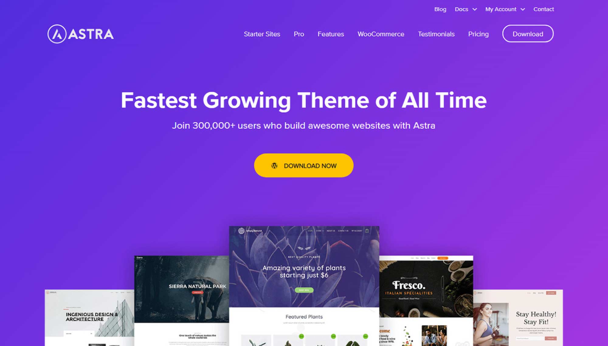 Astra-WordPress-Theme