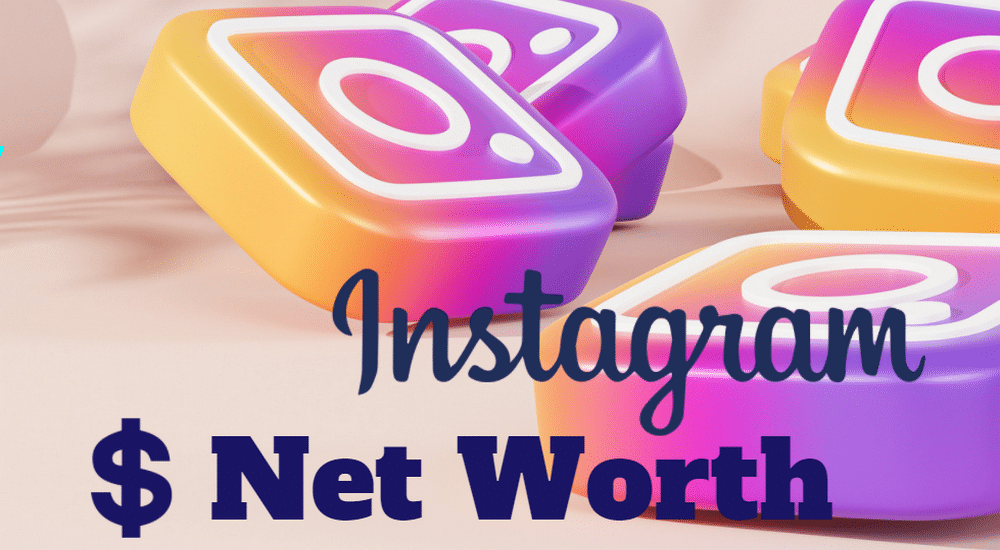 Instagram Net Worth