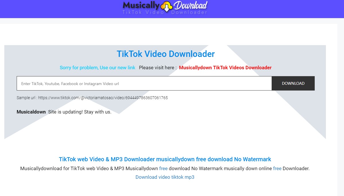 musicallydownload How To Remove The Tiktok Watermark