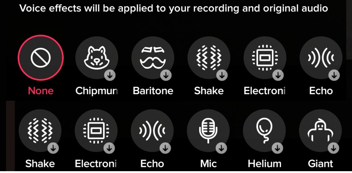The 13 TikTok voice effects that you can try