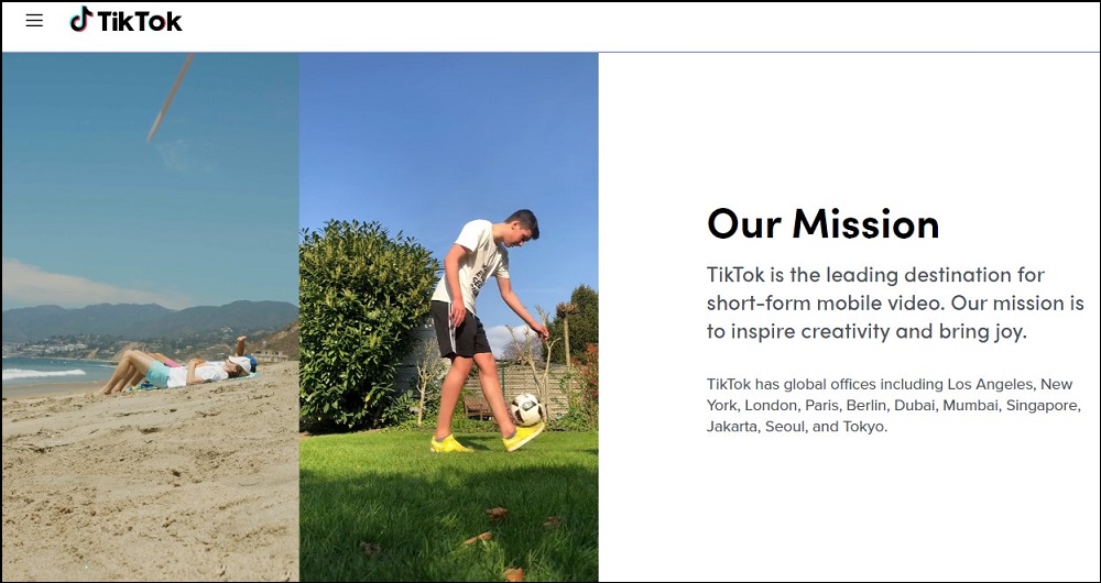 TikTok overview