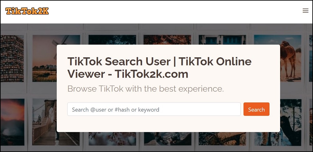 TikTok2k overview