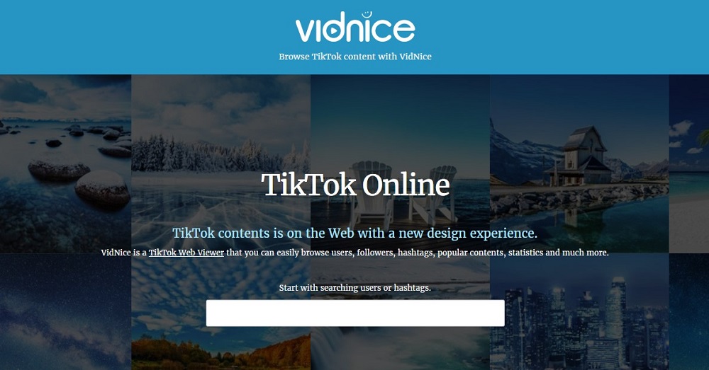 VidNice overview