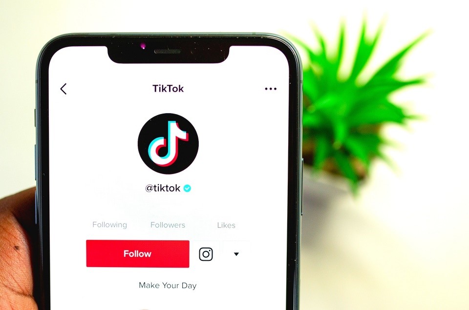live updates of my followers on TikTok