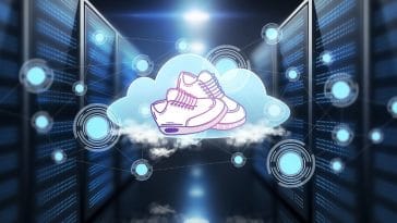 What Is a Sneaker Server
