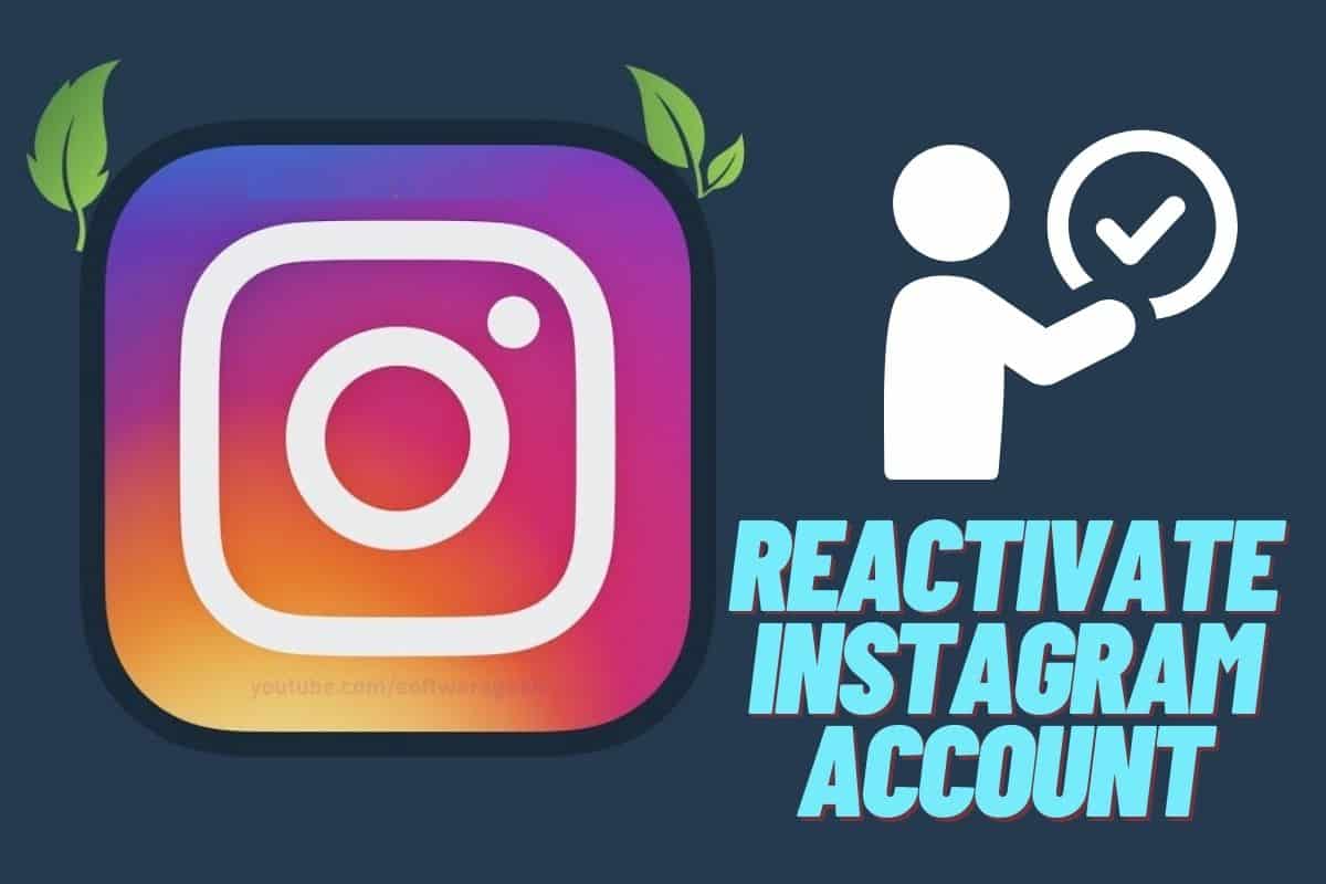 How to Reactivate Instagram Account