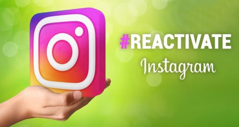 Reactivate Instagram Account After Permanently Delete