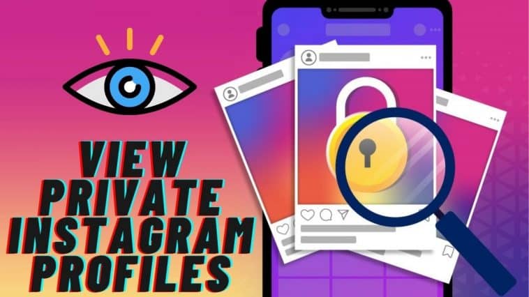 View Private Instagram Profiles without Following