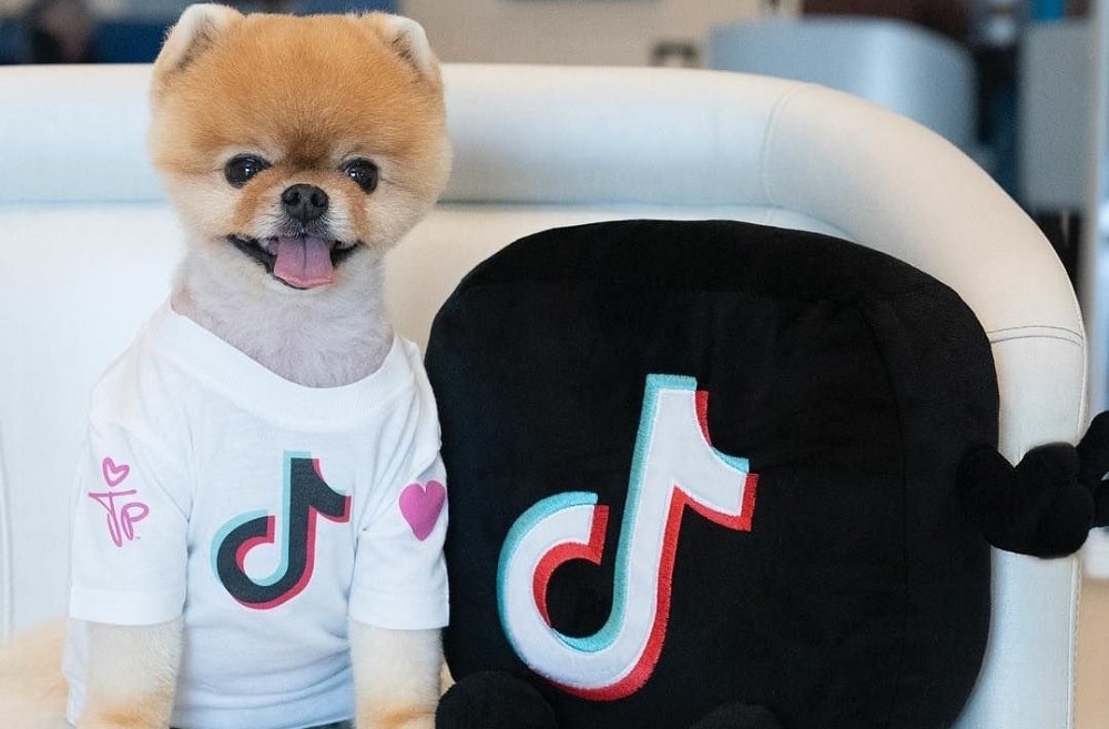 Jiff Pom